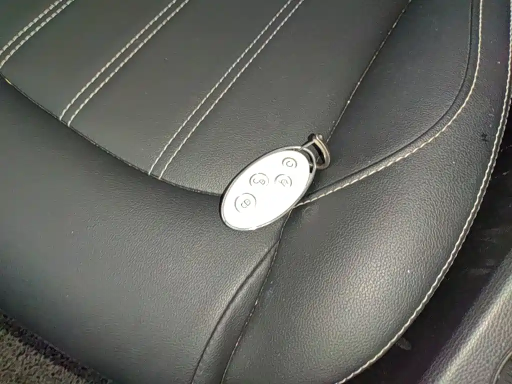 BYD Song — миниатюра 9