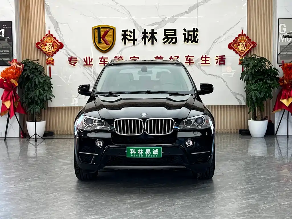 BMW X5 (Import) — миниатюра 2