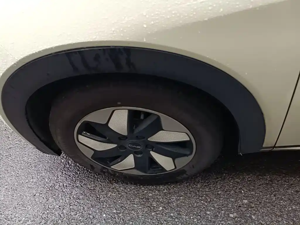 BYD Dolphin — миниатюра 23