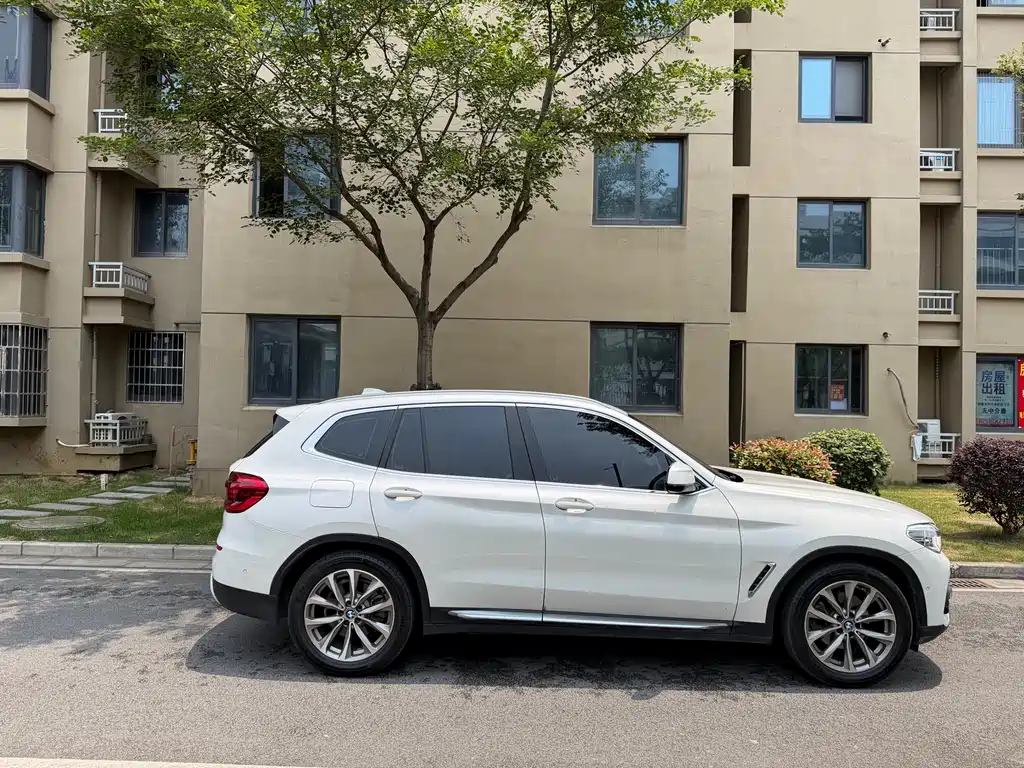BMW X3 2019 xDrive25i M Sport