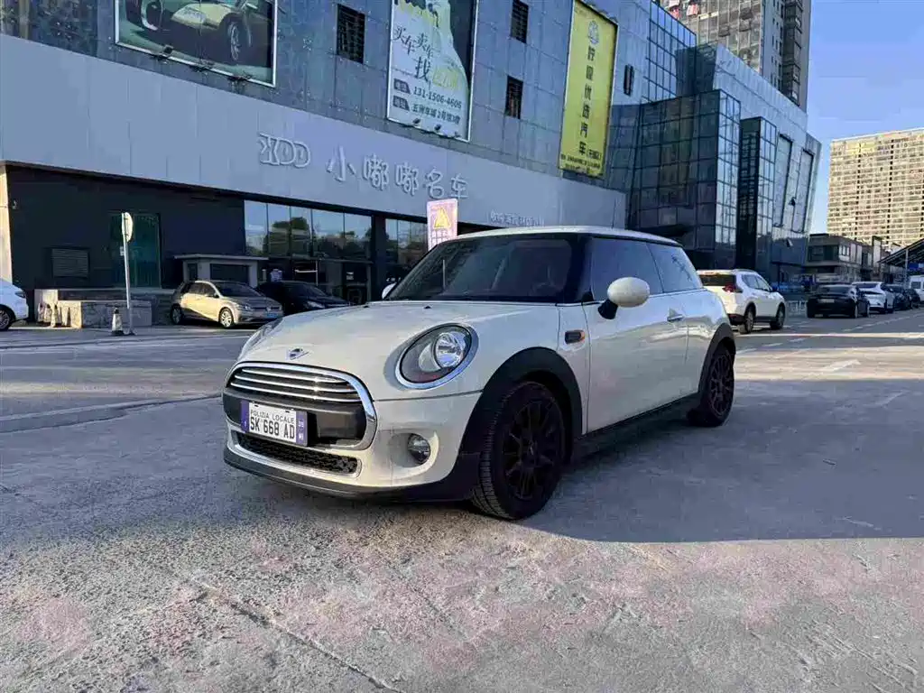 Mini Mini 2016