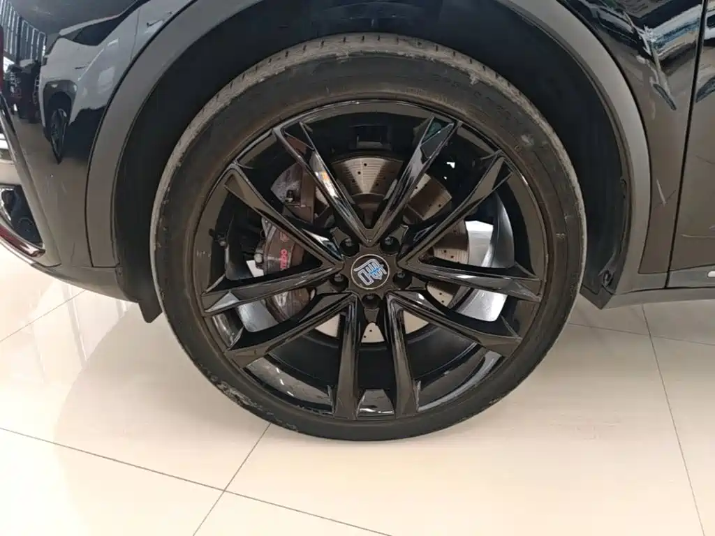 BYD Tang New Energy — миниатюра 23