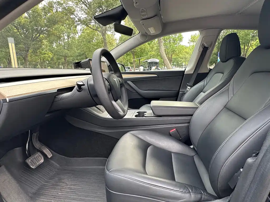 Tesla Model Y — миниатюра 11