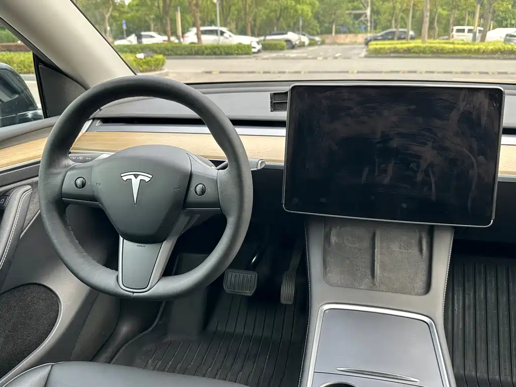 Tesla Model Y — миниатюра 15