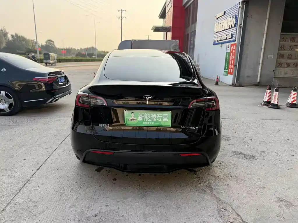 Tesla Model Y — миниатюра 8