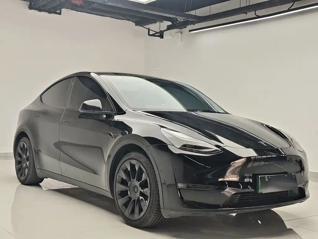 Tesla Model Y — миниатюра 3