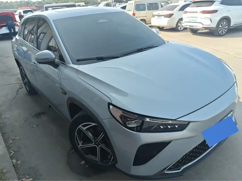 Neta Neta L — миниатюра 2