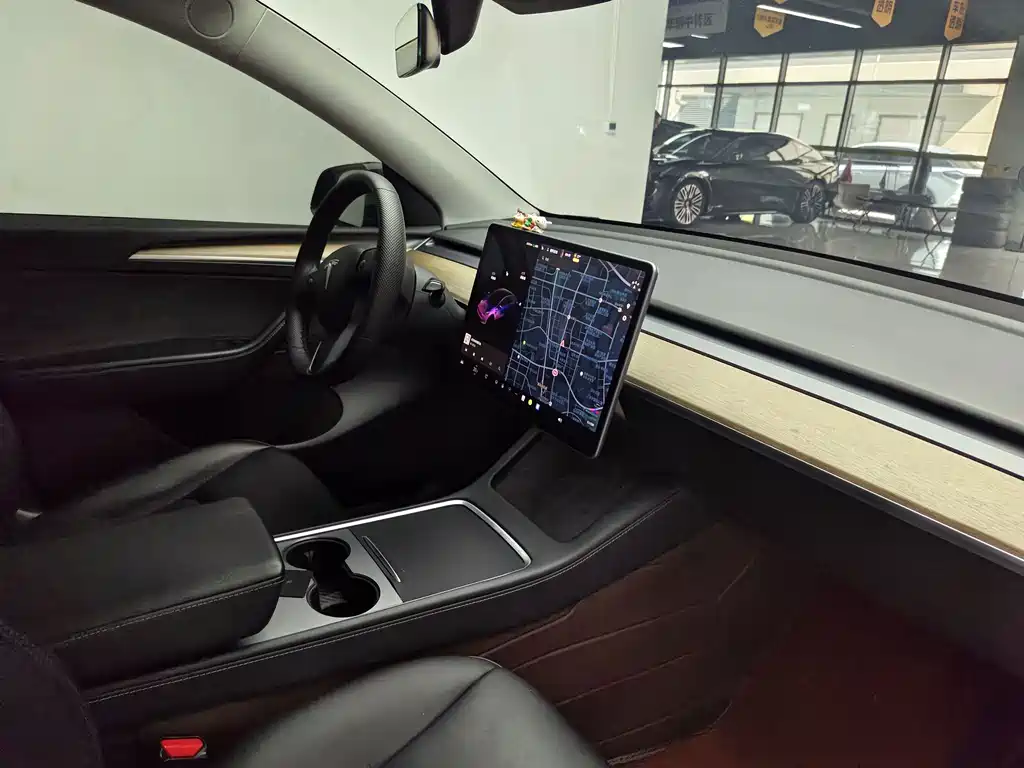 Tesla Model Y — миниатюра 11