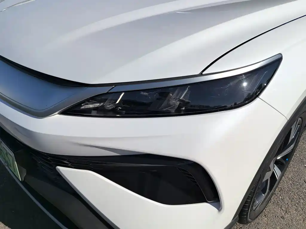 BYD Pro New Energy — миниатюра 4