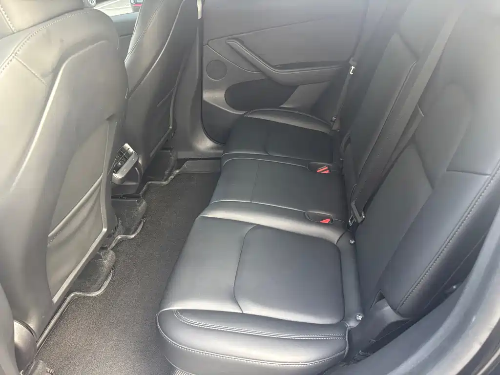 Tesla Model Y — миниатюра 10