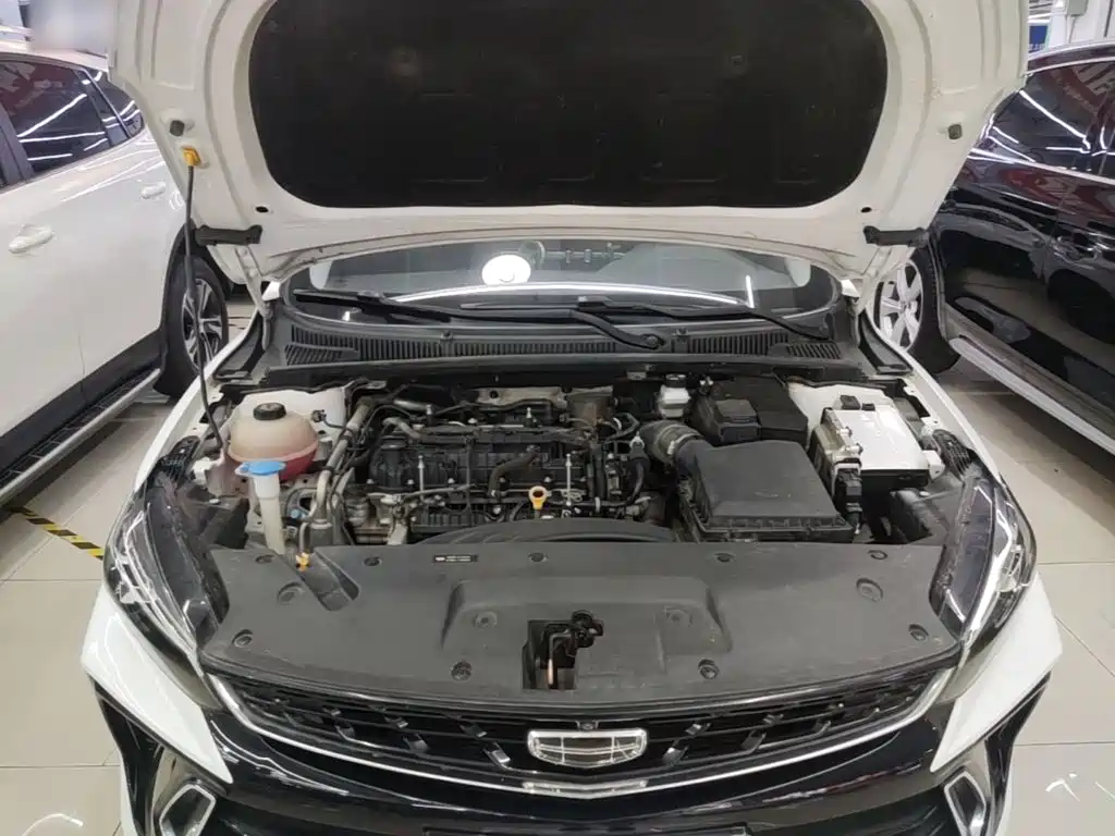 Geely Binrui — миниатюра 20