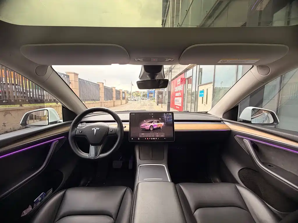 Tesla Model Y — миниатюра 4