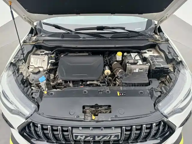 Haval Chitu — миниатюра 14