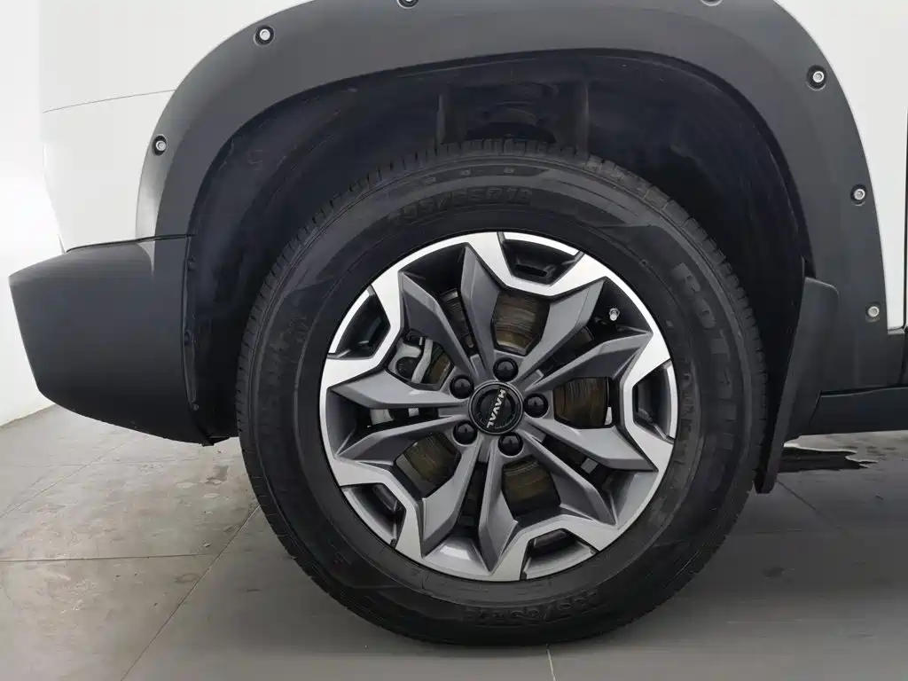 Haval Big Dog — миниатюра 17