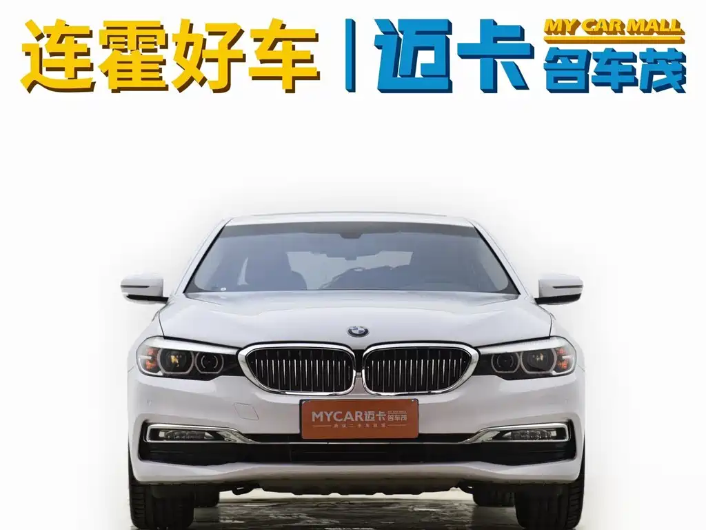 BMW 5 Series 5 2018 530Li Lead Luxury