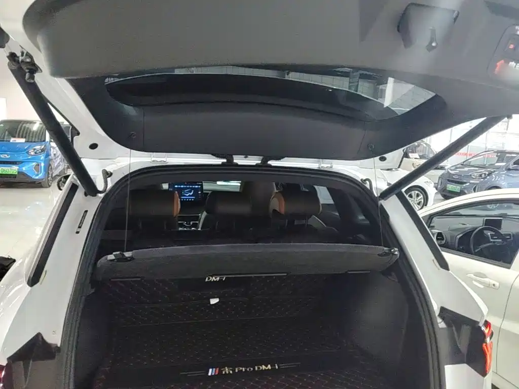 BYD Pro New Energy — миниатюра 19