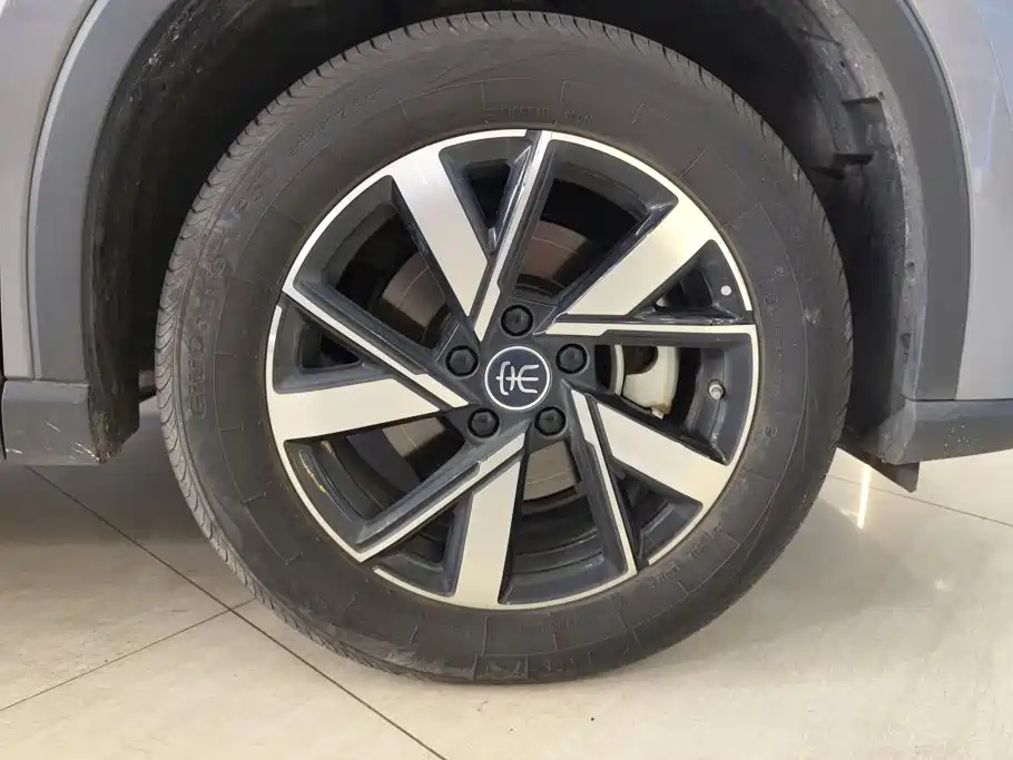 BYD Pro New Energy — миниатюра 6