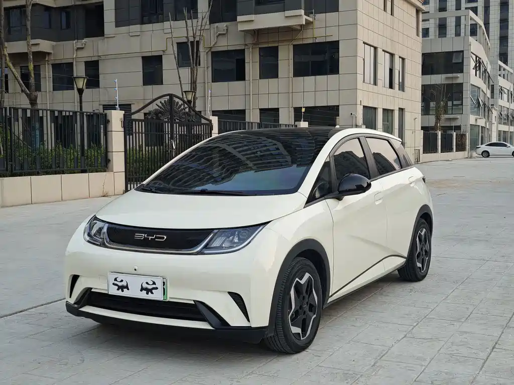 BYD Dolphin