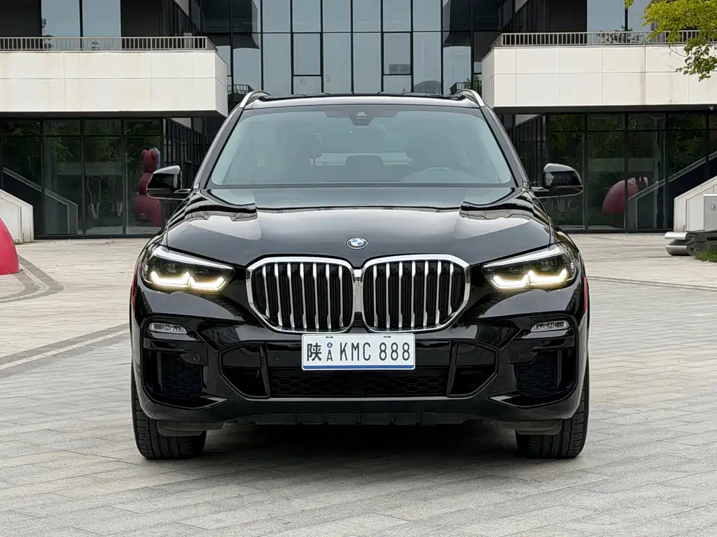 BMW X5 (Import) — миниатюра 2