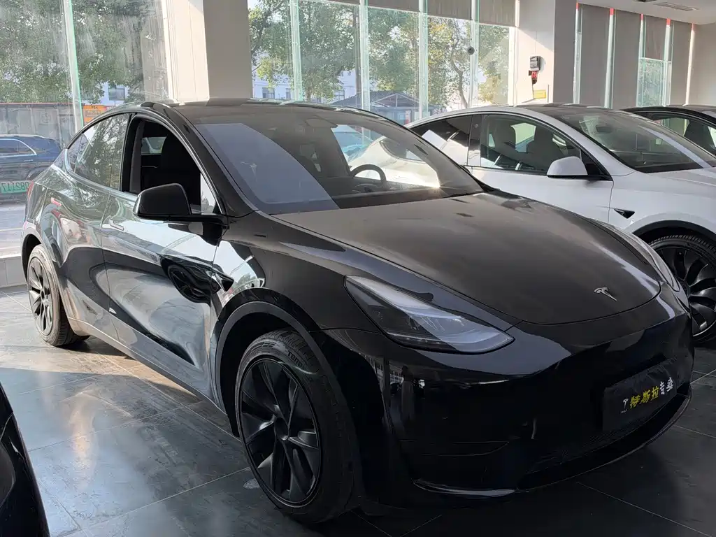 Tesla Model Y — миниатюра 3
