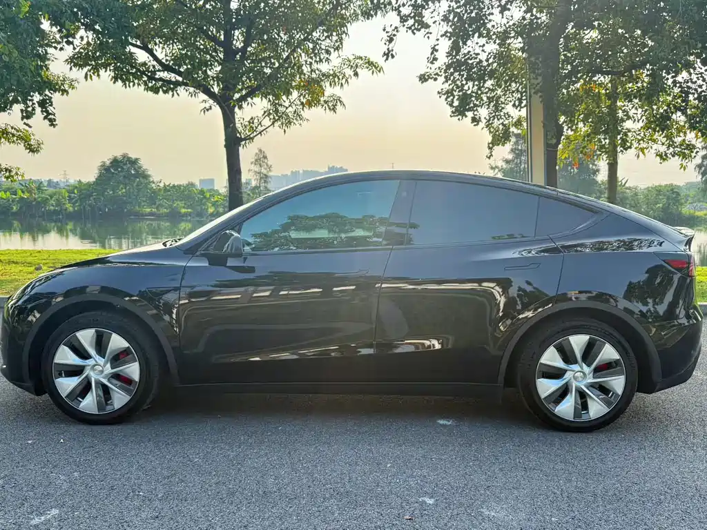 Tesla Model Y — миниатюра 2