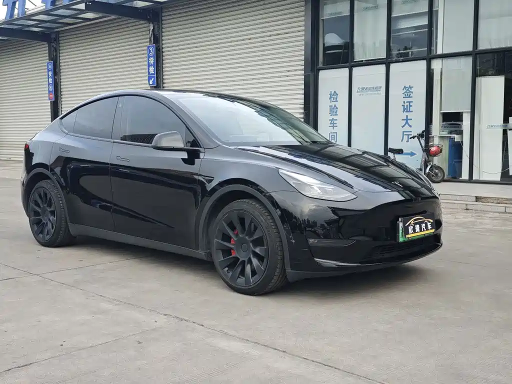 Tesla Model Y — миниатюра 3
