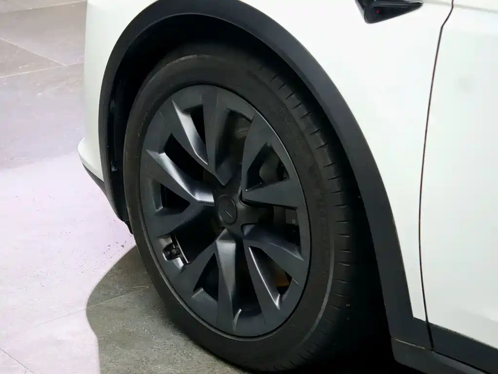 Tesla Model X — миниатюра 24