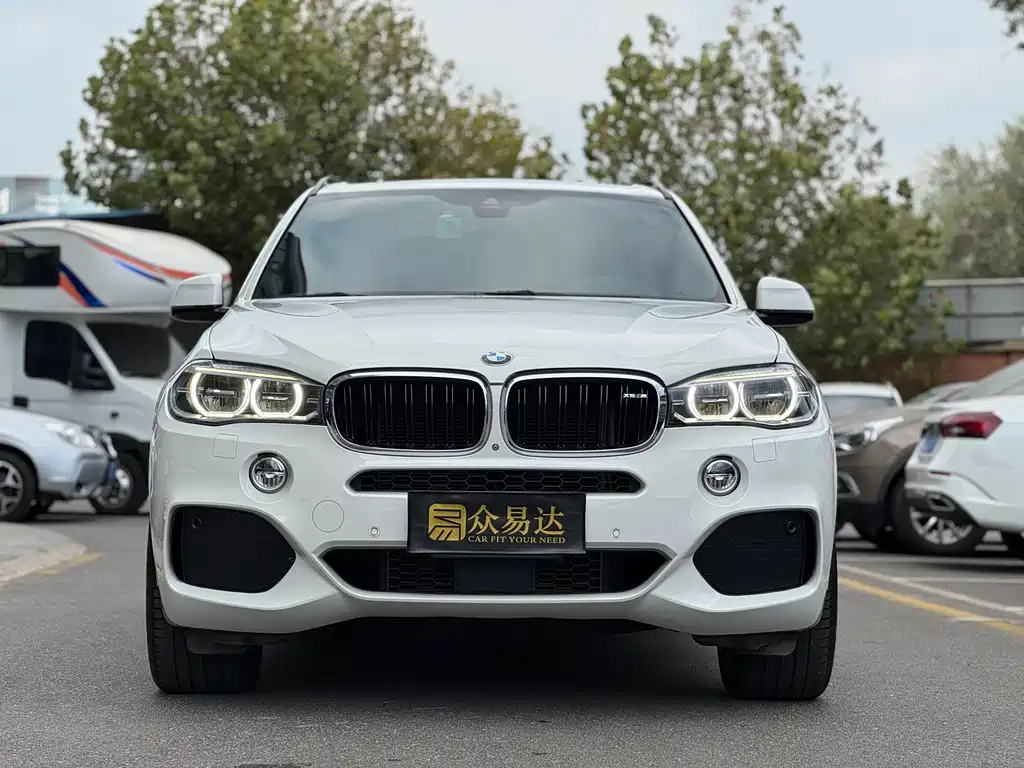 BMW X5 (Import) — миниатюра 2