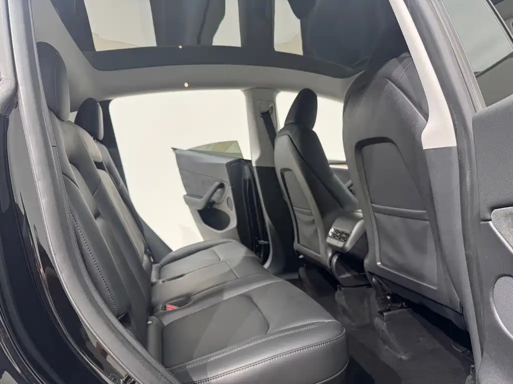 Tesla Model Y — миниатюра 9