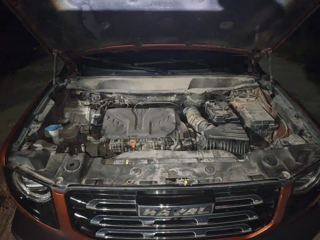 Haval Big Dog — миниатюра 21