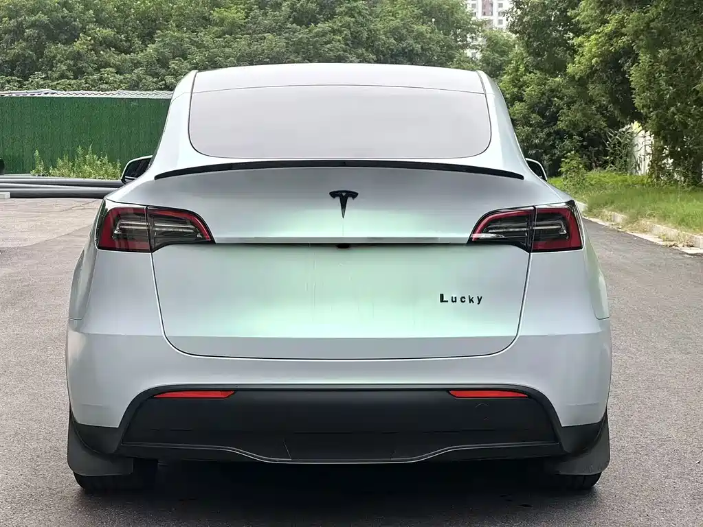 Tesla Model Y — миниатюра 5