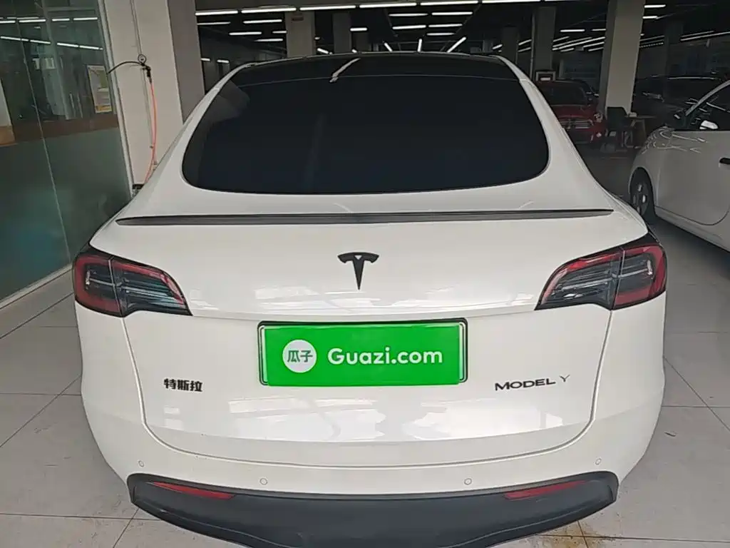 Tesla Model Y — миниатюра 6