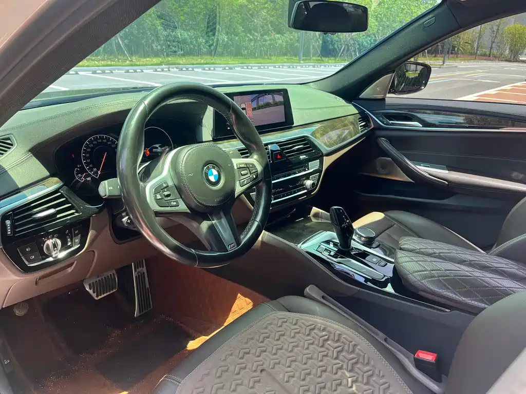 BMW 5 Series 5 2019 525Li M Sport