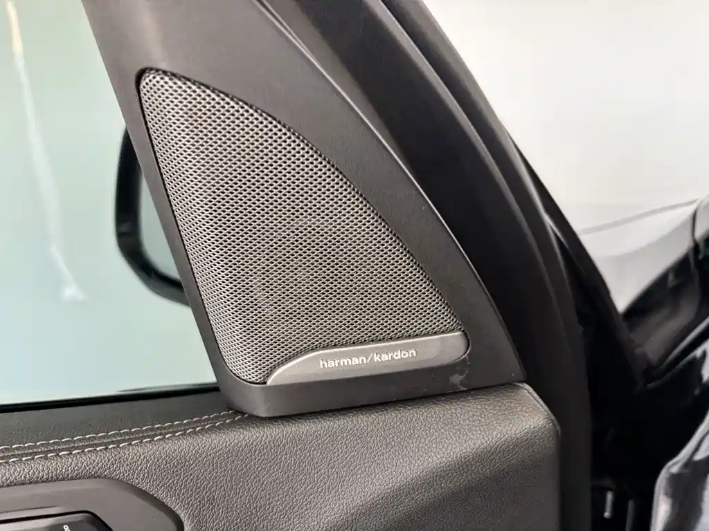 BMW X7 — миниатюра 11