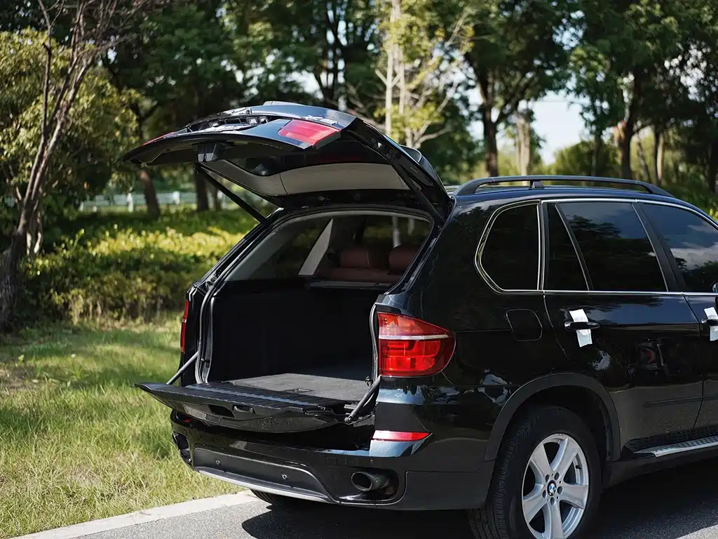 BMW X5 (Import) — миниатюра 13