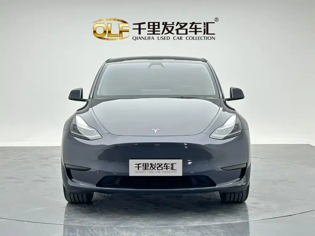 Tesla Model Y — миниатюра 3