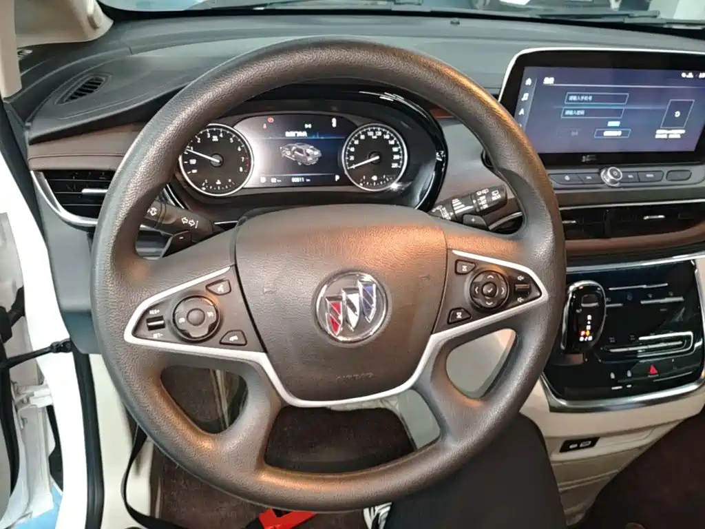 Buick GL8 — миниатюра 11