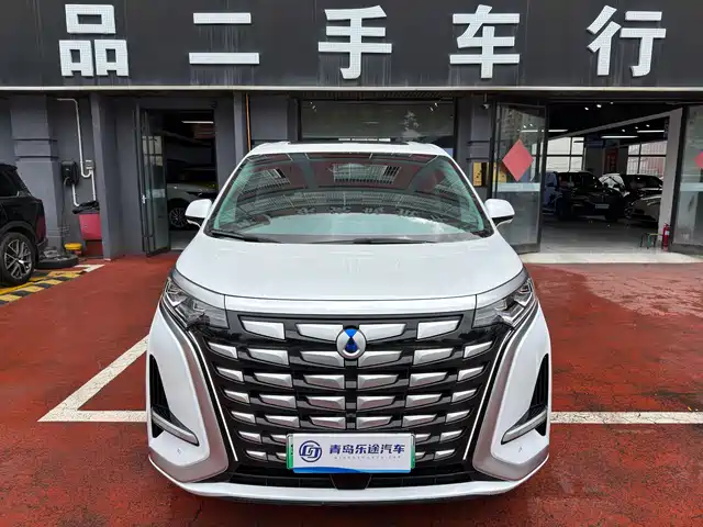 2023 Denza D9