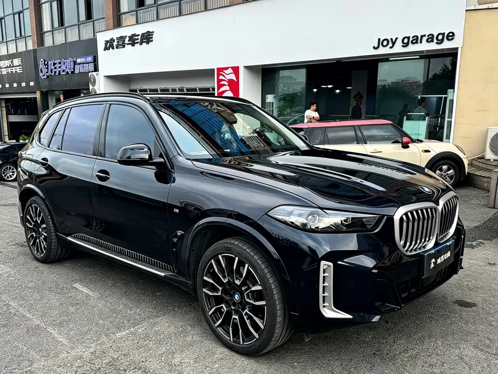 BMW X5 — миниатюра 4
