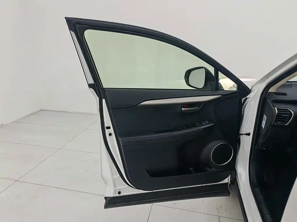 Lexus NX — миниатюра 10