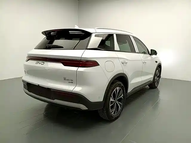 BYD Pro New Energy — миниатюра 7