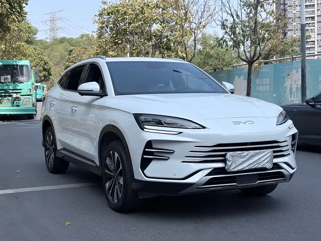 BYD SONGJIANG NEW ENERGY