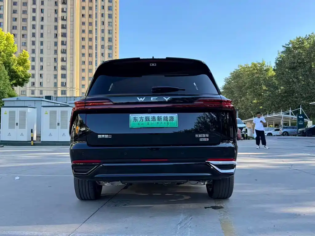 Wey Wey Lanshan — миниатюра 14