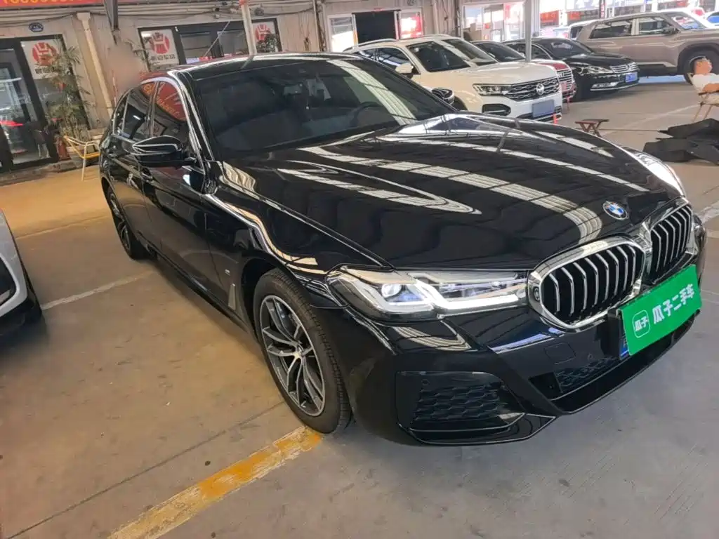 BMW 5 Series — миниатюра 4