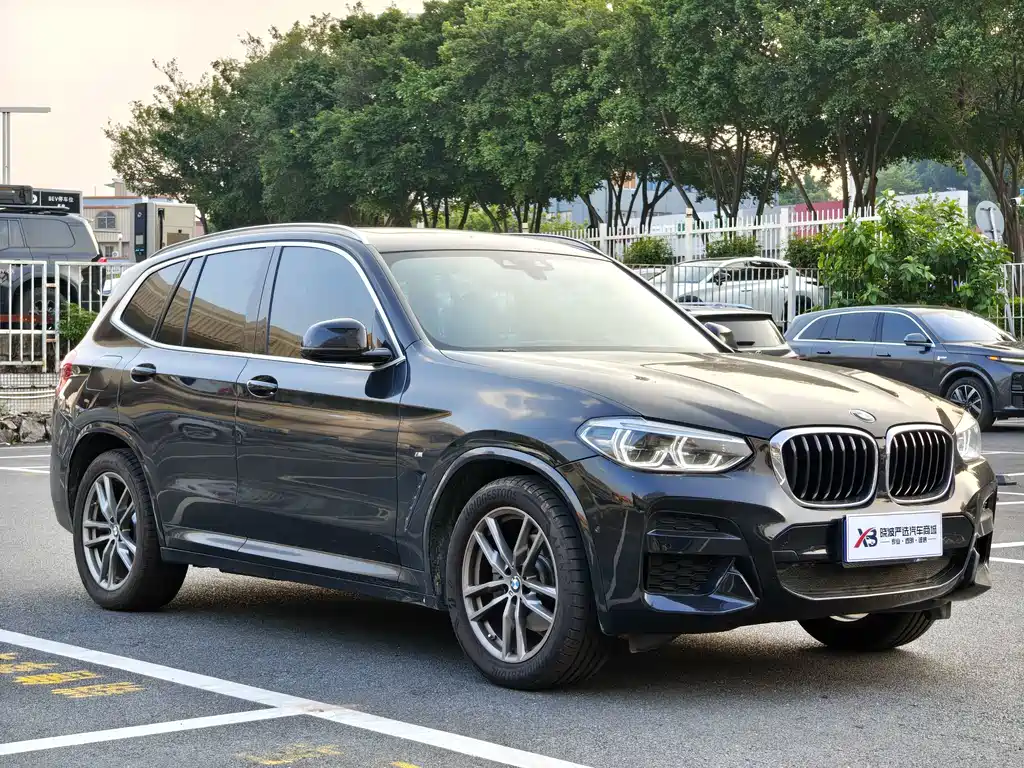 BMW X3 — миниатюра 3