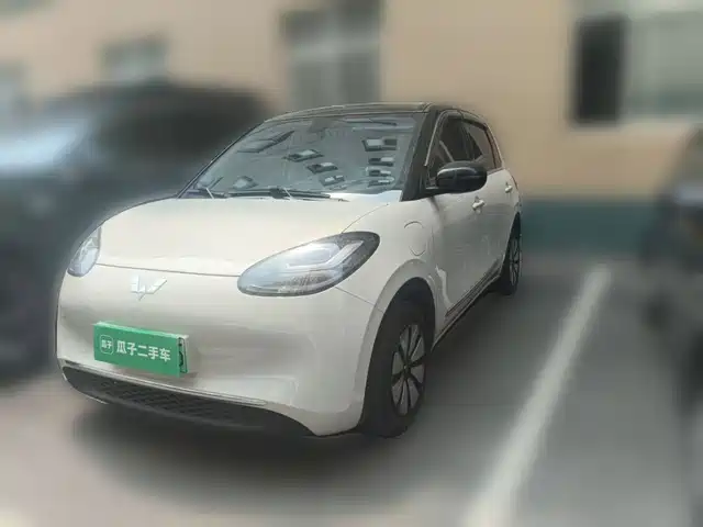 2024 Wuling Motors Binguo