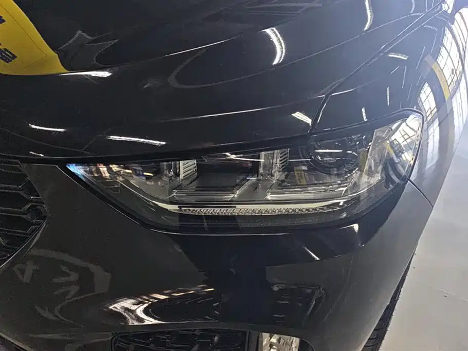 WEI PAI WEI BRAND VV5