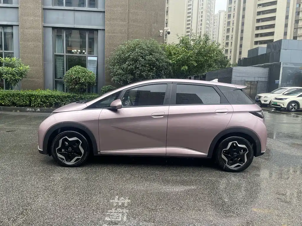 BYD Dolphin — миниатюра 3