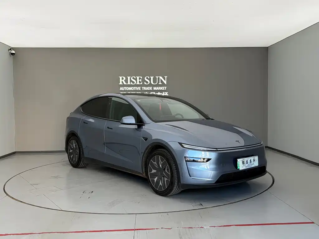 Tesla Model Y L — миниатюра 3