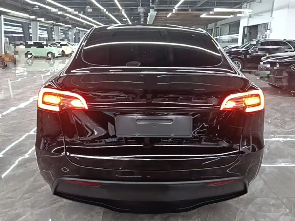 Tesla Model Y — миниатюра 6